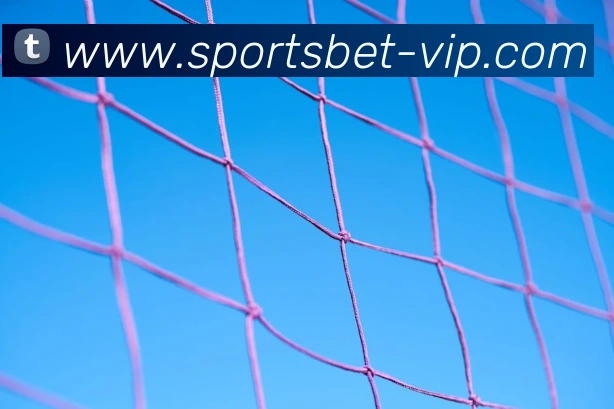 体育下注平台生态图